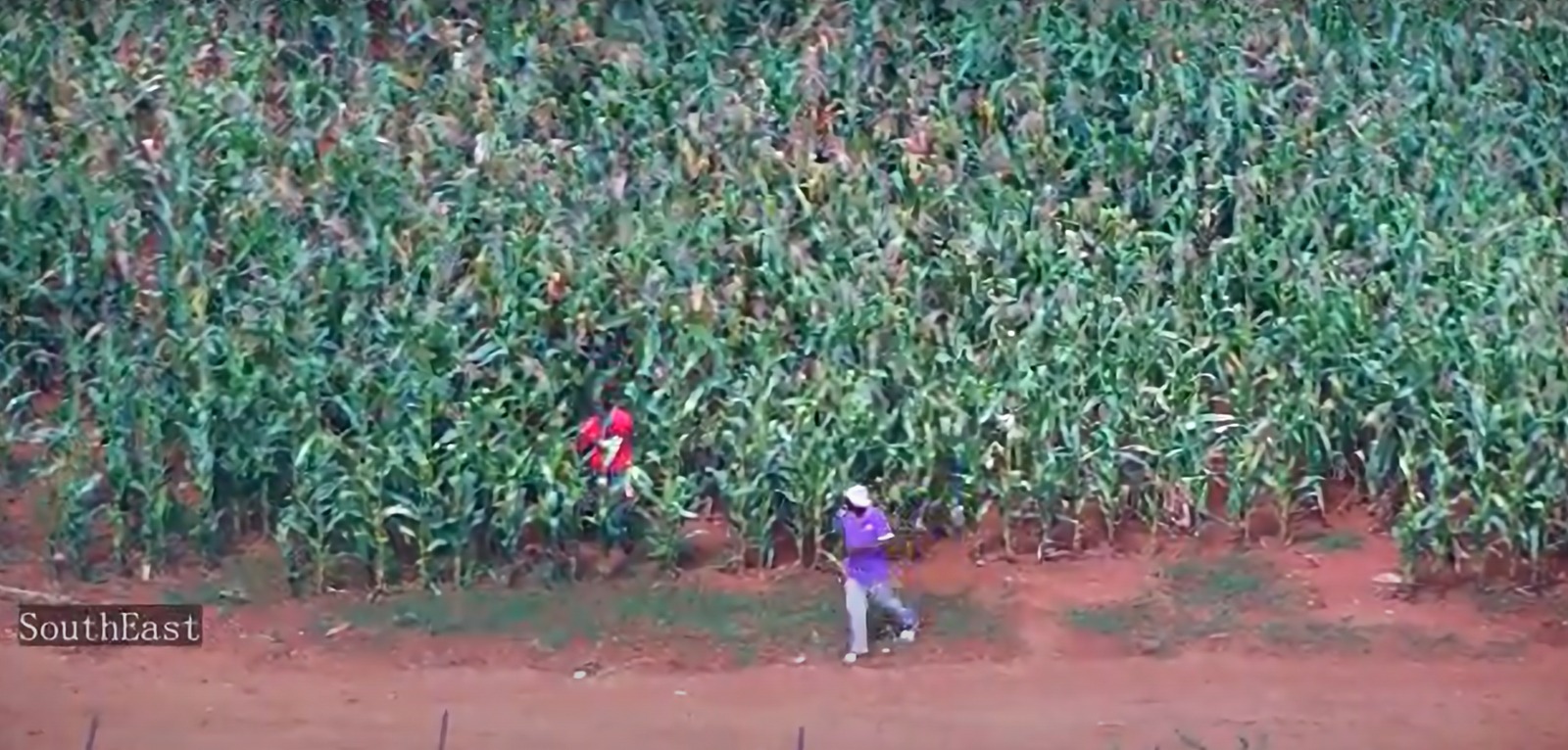 WhatsApp Image 2025-07-11 at 15.54.19