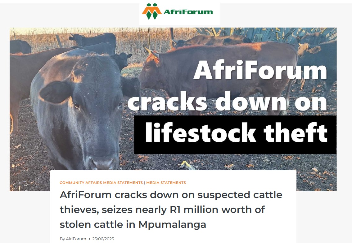 WhatsApp Image 2025-07-21 at 09.36.35