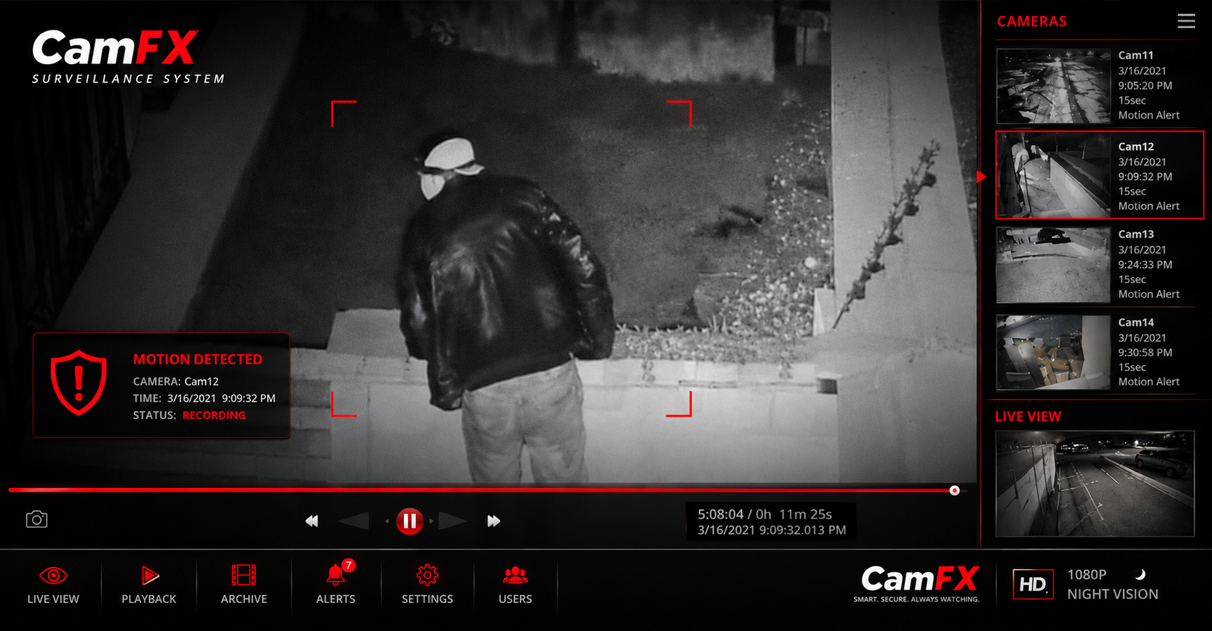 Monitoring System CamFX
